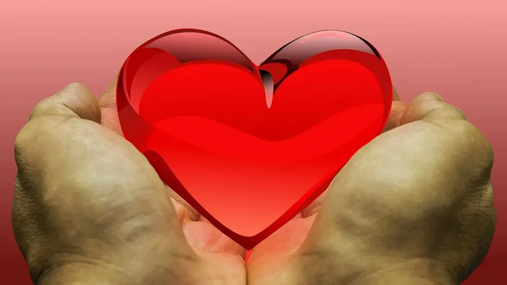 feeling-love-heart-donation-gratitude